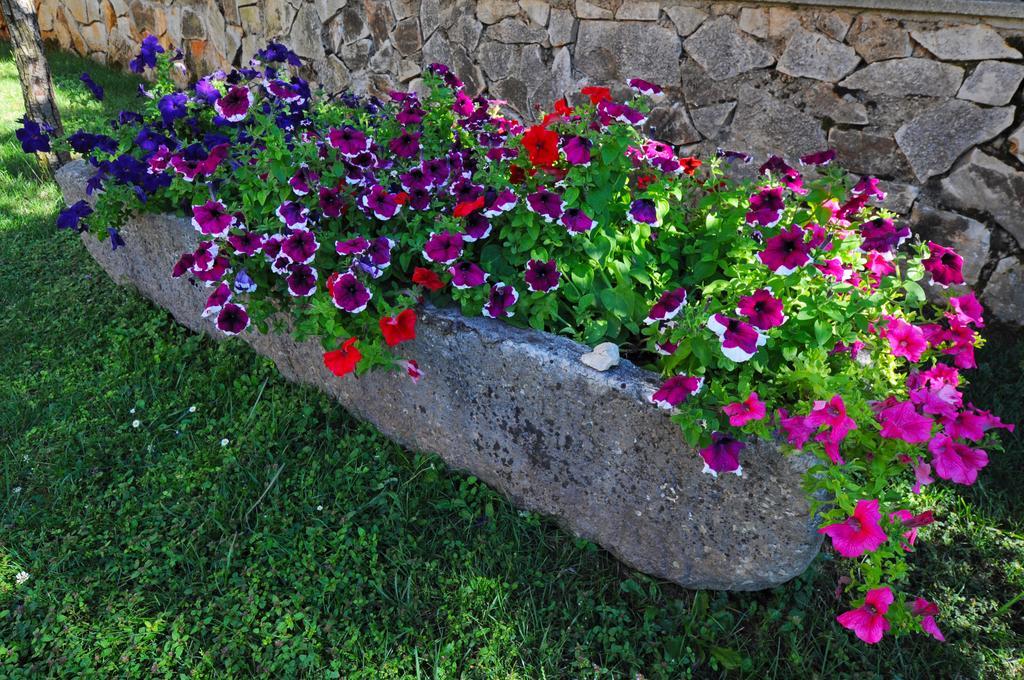 Apartments Maria Poreč Dış mekan fotoğraf